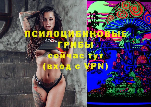таблы Богородицк