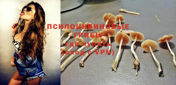 таблы Богородицк