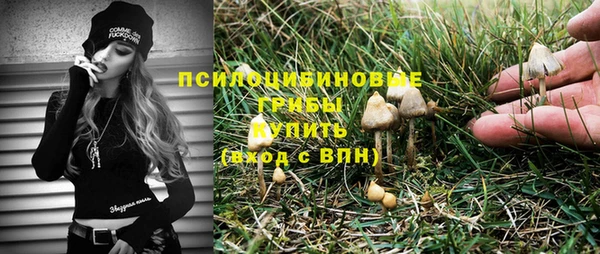 амф Богородск