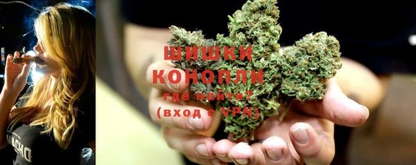 таблы Богородицк
