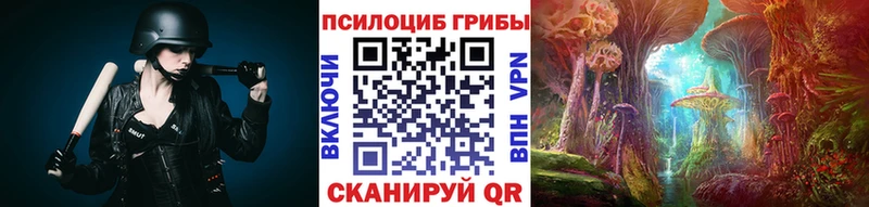 сайты даркнета какой сайт Набережные Челны Псилоцибиновые грибы Cubensis что такое наркотик